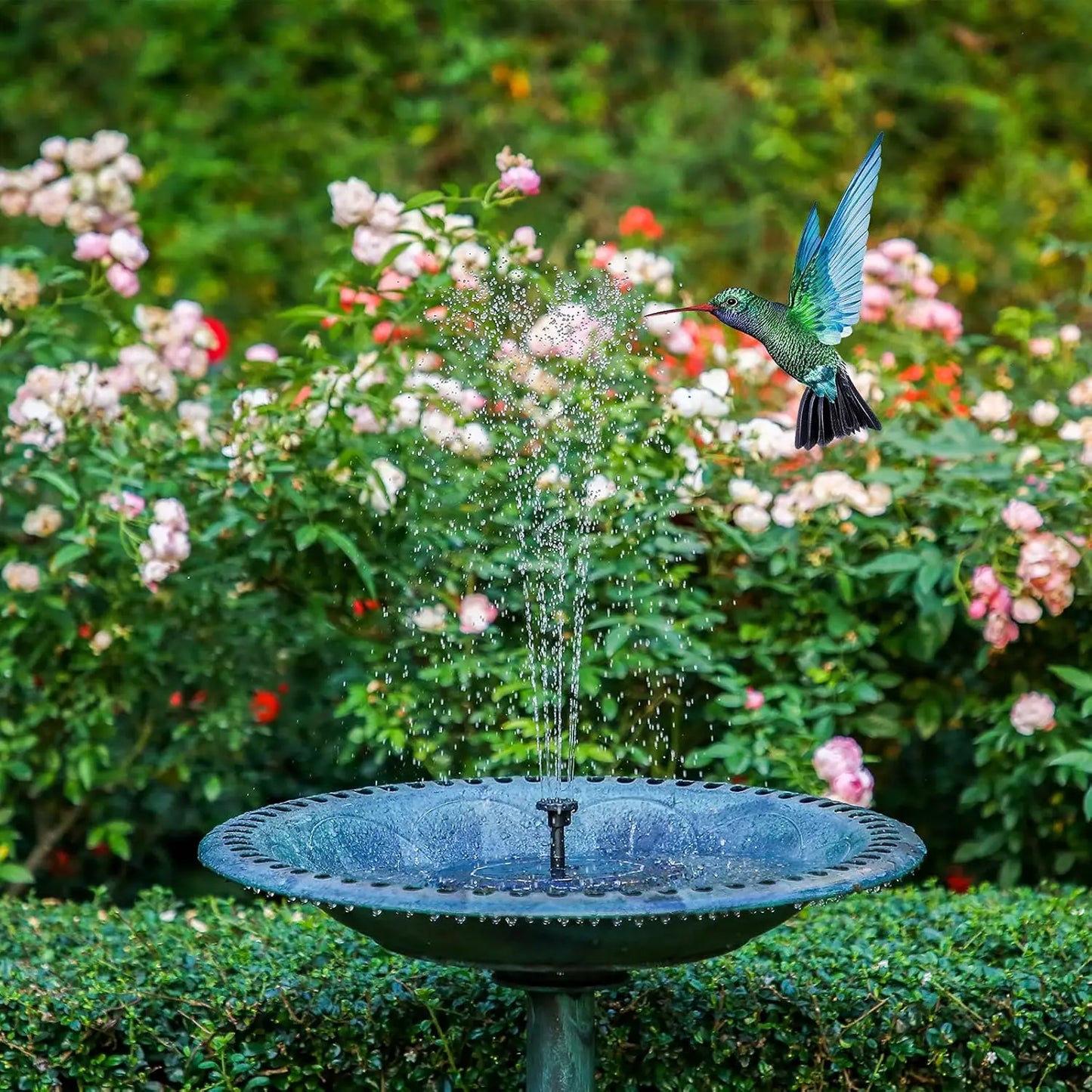 AquaSun™ Solar Fountain pump